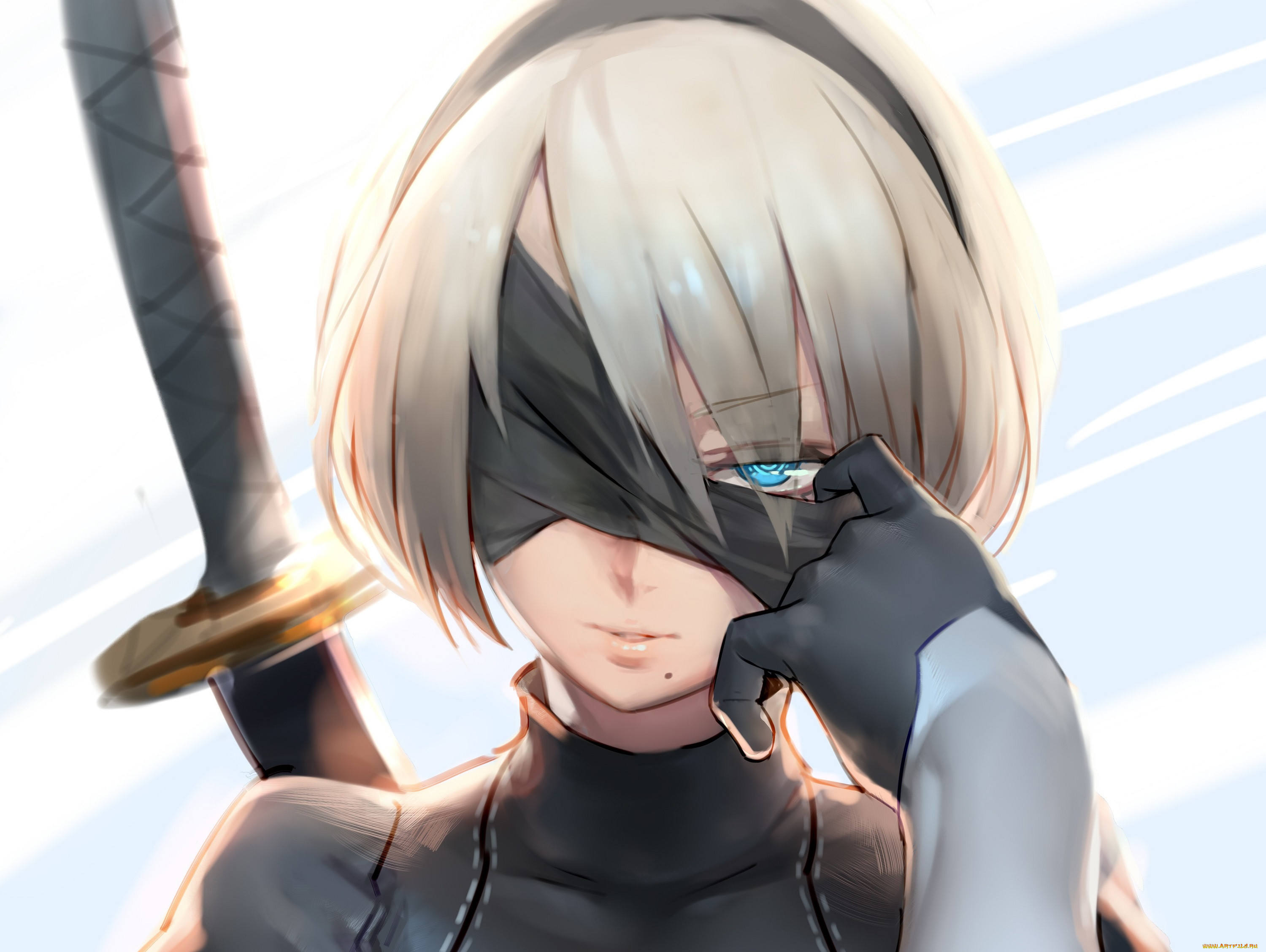  , nier,  automata, 